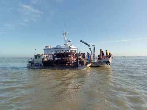 
          Sortie en mer et sur les parcs à huîtres  pour les élèves de BTS1