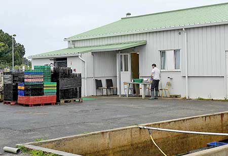 Hall aquacole et exploitation ostréicole Lycée de la Mer et du Littoral Bourcefranc Charente Maritime Nouvelle Aquitaine