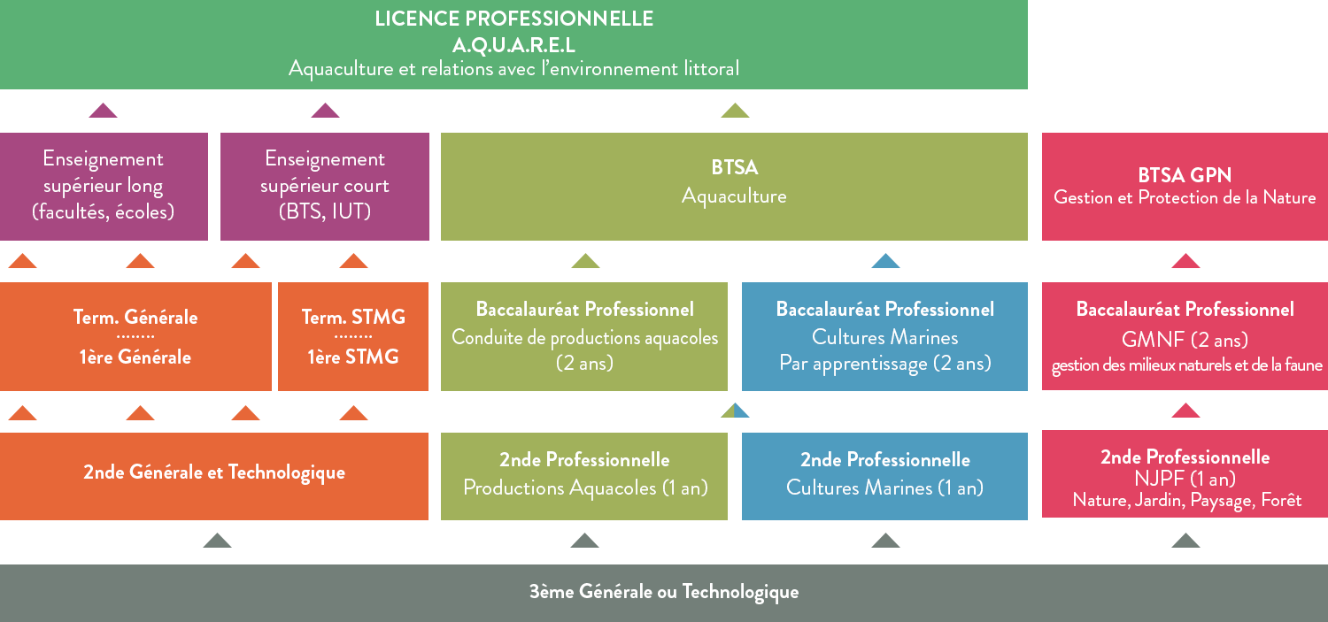 formations lycée de la mer et du littoral charente maritime