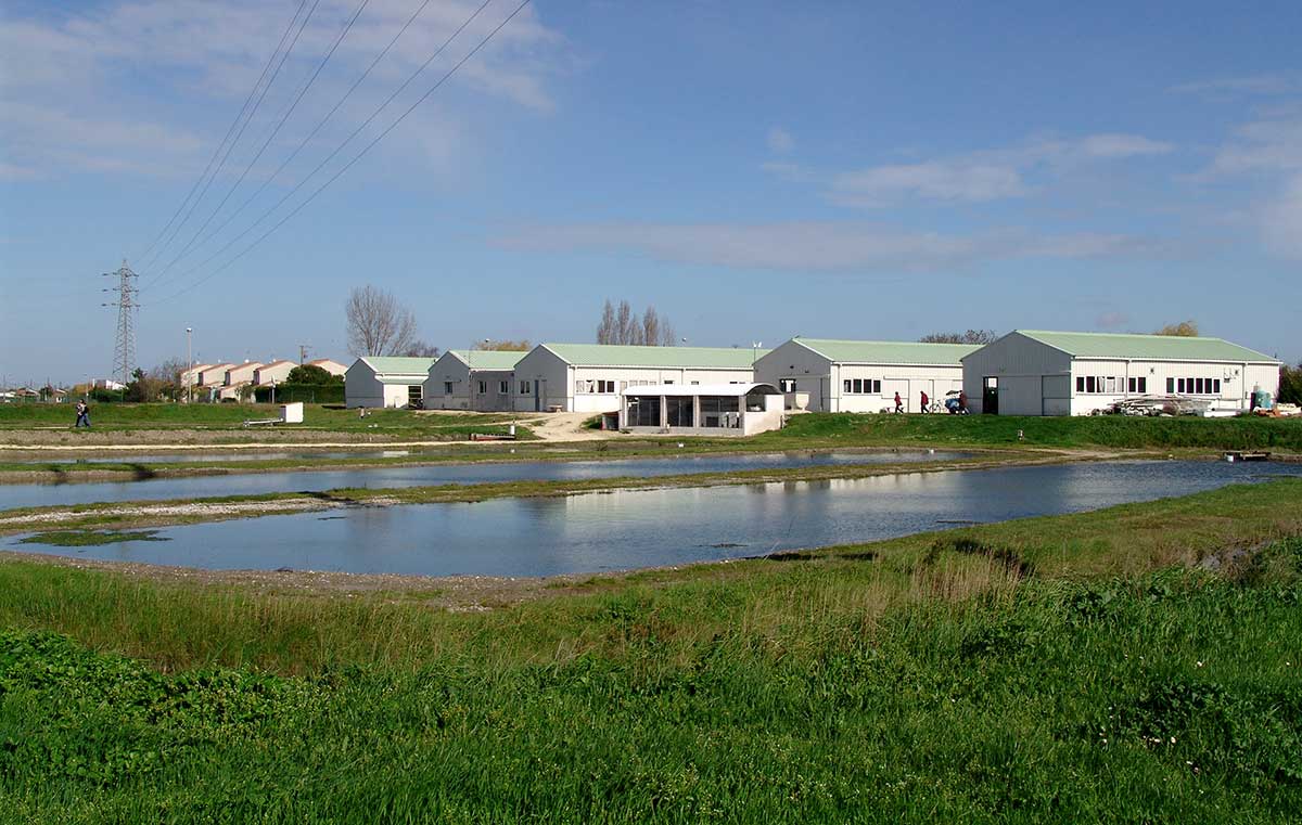 L'exploitation ostréicole | Hall aquacole | lycée de la Mer  et du Littoral 